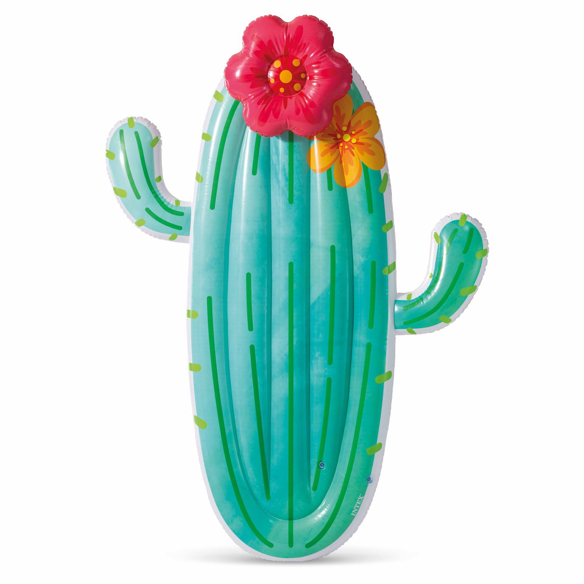 Intex cactus float