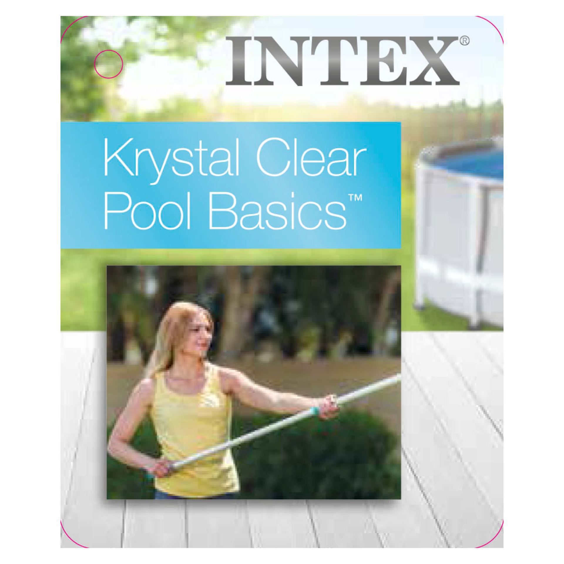 Intex telescoping aluminum pole 238,75cm kopen