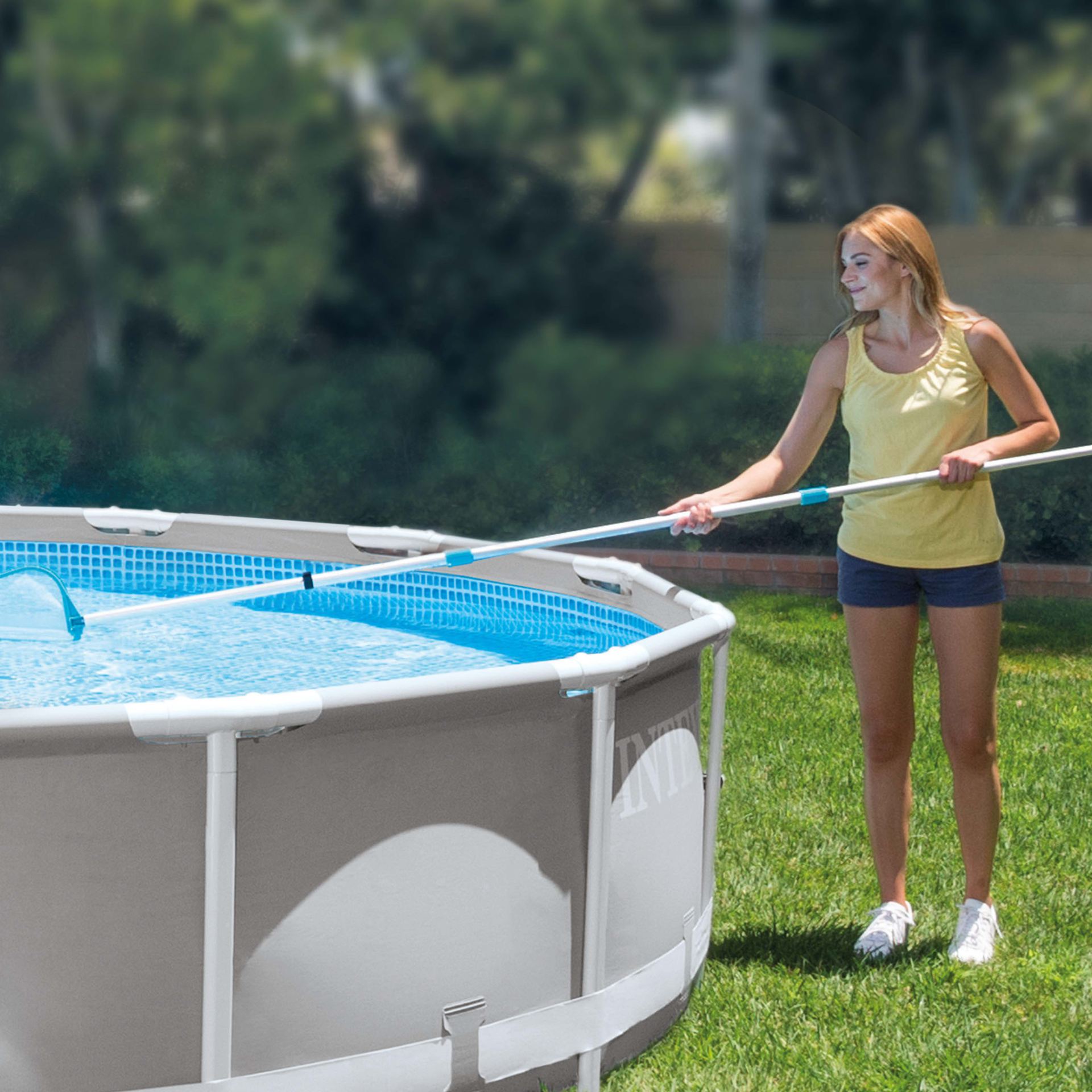 Intex leaf skimmer